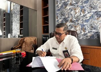 Pemprov Kalsel Upayakan Rehabilitasi Mangrove di Kabupaten Tanah Laut dan Tanah Bumbu
