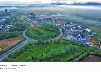 Dishut Lakukan Penyulaman Bibit Eucalyptus, Ciptakan Forest City sebagai Ikon Hijau di Pusat Pemerintahan Kalsel