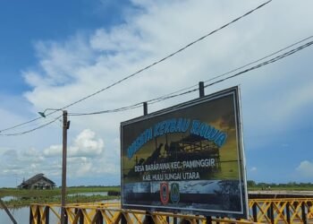 Kembangkan Destinasi Wisata Kerbau Rawa, Pemprov Kalsel Selesaikan 60 Persen Pembangunan