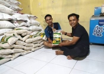 Pemberdayaan BUMDesMa, Langkah Cerdas Menuju Ekonomi Mandiri di Desa