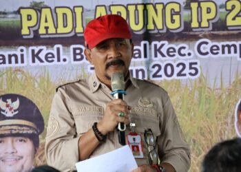 Panen Padi Apung di Banjarbaru, Wujudkan Ketahanan Pangan dan Kesejahteraan Petani
