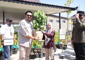 Tanah Bumbu Terima 500 Bibit Tanaman dari Kemenhut RI untuk Ketahanan Pangan