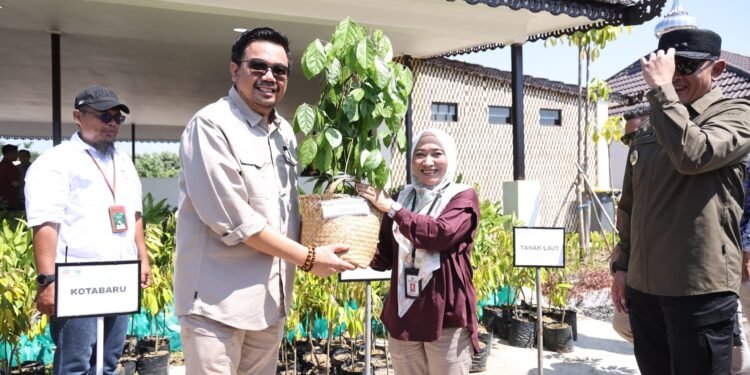 Tanah Bumbu Terima 500 Bibit Tanaman dari Kemenhut RI untuk Ketahanan Pangan