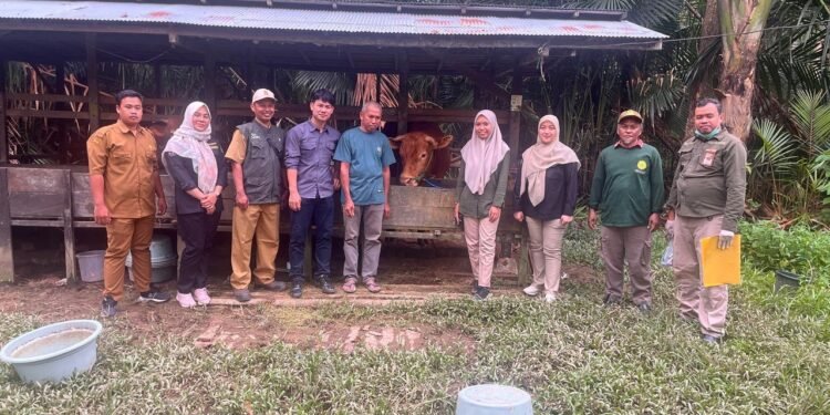Pemprov Kalsel Pastikan Ketersediaan Hewan Kurban Tahun 2025 Aman
