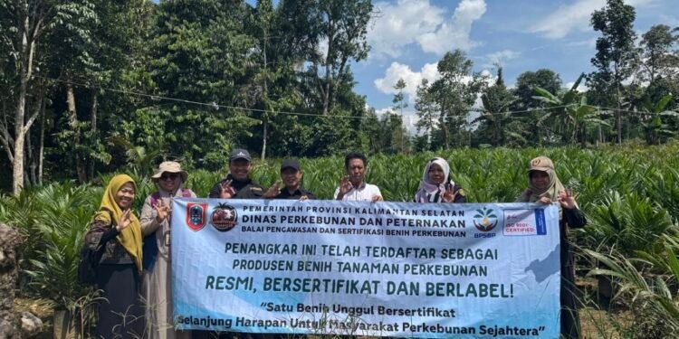 BPSBP Disbunnak Kalsel Perkuat Implementasi ISPO dengan Menyediakan Benih Kelapa Sawit Unggul, Bersertifikat dan Berlabel