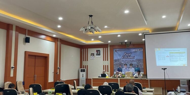 Dukung New Posyandu 2025, Disperkim Kalsel Gelar Rakor Pelaksanaan SPM Bidang Perumahan Rakyat
