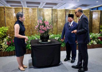 Presiden Prabowo Beri Nama Anggrek “Paraphalante Dora Sigar Soemitro” dalam Kunjungan Kenegaraan di Singapura