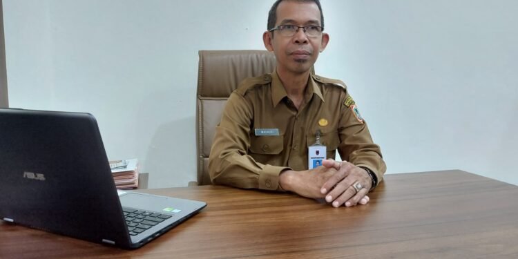 BKD Kalsel Proyeksikan 6.287 Pegawai diangkat sebagai PPPK Paruh Waktu