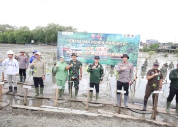Peringati HUT Ke-67 Kodam VI/Mulawarman, Tanam Mangrove di Kawasan Pesisir Tanah Bumbu