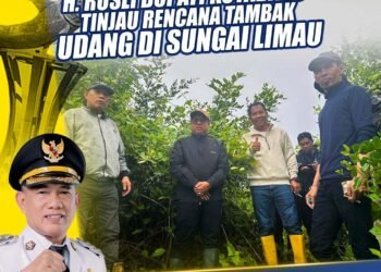 Survei Rencana Lokasi Percontohan Tambak,Langkah nyata Bupati Kotabaru Dukung Ketahanan Pangan