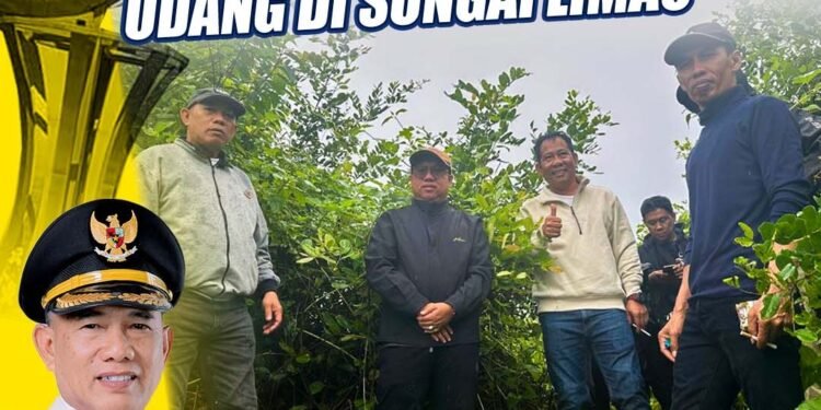 Survei Rencana Lokasi Percontohan Tambak,Langkah nyata Bupati Kotabaru Dukung Ketahanan Pangan