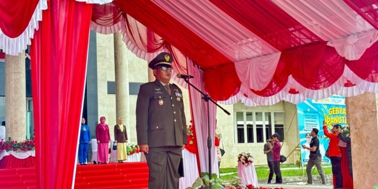 Panglima TNI Tekankan Soliditas dan Kewaspadaan Prajurit pada Peringatan HUT ke-80 TNI di Kotabaru