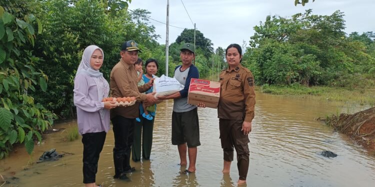 Makhruri Anggota DPRD Tanah Bumbu Turun Langsung, Salurkan Bantuan Untuk Korban Banjir Dukuhrejo