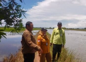 BPTPH Kalsel Gerak Cepat Bantu Petani Banjarbaru Hadapi Dampak Cuaca Ekstrem