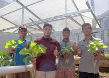 Dukung Ketahanan Pangan,  Lapas Batulicin Panen 15 Kg Sawi Dari Kebun Hidroponik Warga Binaan