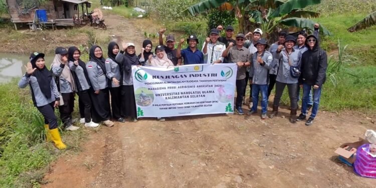 Bukan Sekadar Teori: Mahasiswa Agribisnis UNU Kalsel Praktik Olah Lahan di Karang Bintang