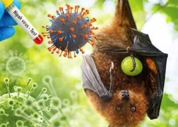 Belum Ditemukan Kasus Virus Nipah, Pemprov Kalsel Tetap Perkuat Kesiapsiagaan Sistem Kesehatan