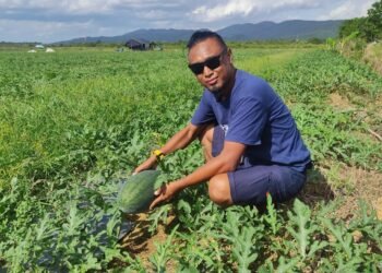 Alfian Sang Jurnalis: Mengajak Milenial Menanam Harapan Lewat Kebun Semangka