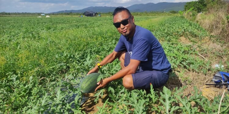 Alfian Sang Jurnalis: Mengajak Milenial Menanam Harapan Lewat Kebun Semangka