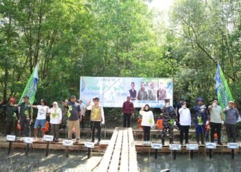 Cegah Abrasi dan Tingkatkan Kesejahteraan Masyarakat Pesisir, Bupati Andi Rudi Larif dan Kaka Slank Tanam Magrove di Pesisir Tanah Bumbu