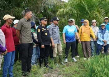 Perkuat Komitmen Swasembada Pangan, Bupati Tinjau dan Panen Raya Padi