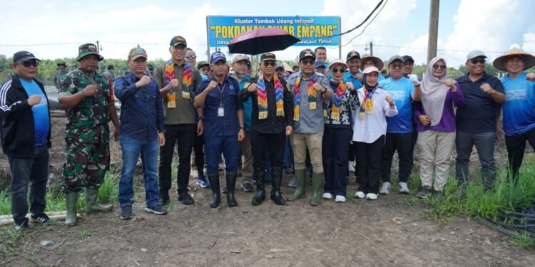 Panen Udang Vaname Perdana Jadi Tonggak Baru Perikanan Budidaya Kotabaru