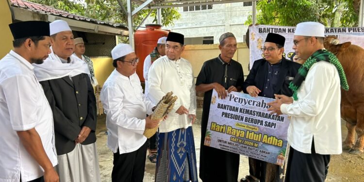 Pemkab Kotabaru Salurkan Bantuan Sapi Kurban Presiden, Ribuan Kupon Dibagikan