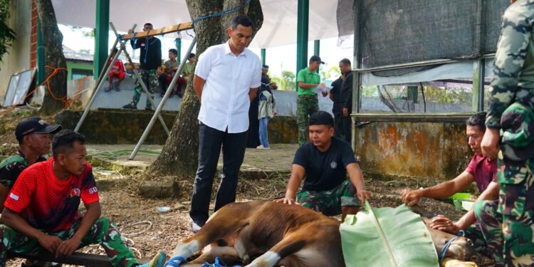 Idul Adha 1447 H: Kodim 1022/Tanah Bumbu Sebar Daging Kurban, Wujud Nyata TNI Hadir untuk Rakyat