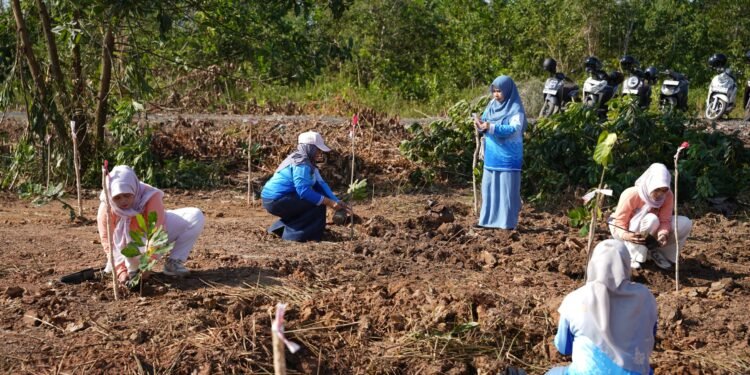 Menjaga Ekosistem: Tanah Bumbu Tanam Mangrove untuk Generasi Mendatang