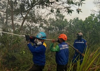 Presiden Prabowo Pimpin Penanganan Serentak Karhutla, Kalsel Siapkan Tim Gabungan