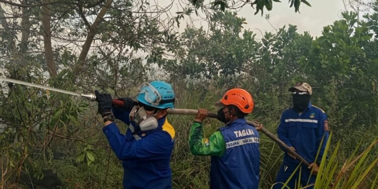 Presiden Prabowo Pimpin Penanganan Serentak Karhutla, Kalsel Siapkan Tim Gabungan