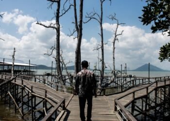 Bupati Andi Rudi Latif Dorong Wisata Mangrove Kersik Putih Jadi Ikon Wisata Tanah Bumbu