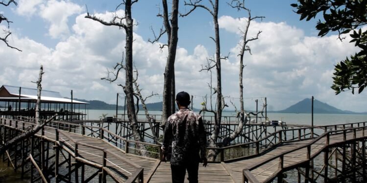 Bupati Andi Rudi Latif Dorong Wisata Mangrove Kersik Putih Jadi Ikon Wisata Tanah Bumbu