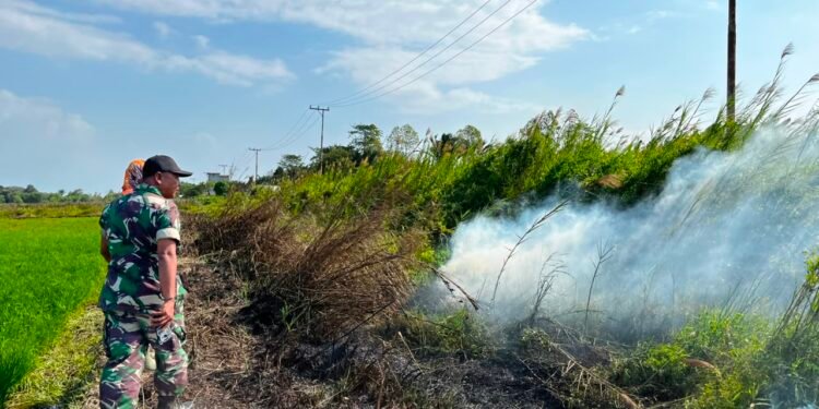 Sinergi Satgas Gabungan dan Warga Berhasil Padamkan Karhutla di Kusan Hilir