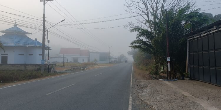 Kabut Asap Selimuti Jalan Transmigrasi, Jarak Pandang Terbatas