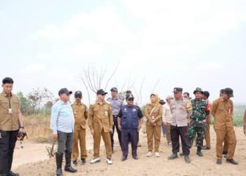 Bupati Kotabaru Tinjau Lokasi Sekolah Rakyat dan Rumah Sakit di Tanjung Lalak